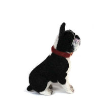 Load image into Gallery viewer, Rocco French Bull Dog