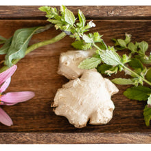 Load image into Gallery viewer, The Beekeeper's Apothecary Book by Kaylee Richardson