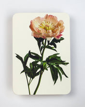Load image into Gallery viewer, Peony Greeting Card