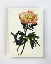 Load image into Gallery viewer, Peony Greeting Card