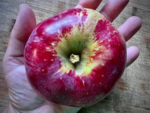 Load image into Gallery viewer, Apple Cardamom Jam