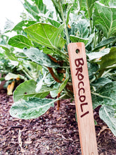 Load image into Gallery viewer, Wood Plant Labels