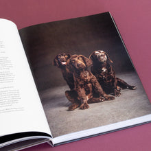 Load image into Gallery viewer, Year of the Dogs