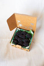 Load image into Gallery viewer, Blackberry Beeswax Birthday Candles