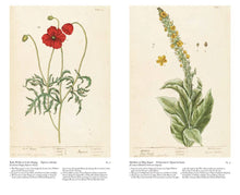 Load image into Gallery viewer, A Curious Herbal: Elizabeth Blackwell's Pioneering: Hardcover