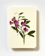 Load image into Gallery viewer, Violet Sweet Peas Greeting Card