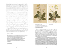 Load image into Gallery viewer, A Curious Herbal: Elizabeth Blackwell's Pioneering: Hardcover