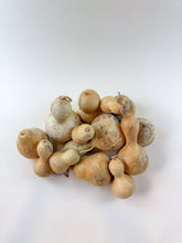 Load image into Gallery viewer, Naturally Dried Gourds