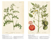 Load image into Gallery viewer, A Curious Herbal: Elizabeth Blackwell's Pioneering: Hardcover