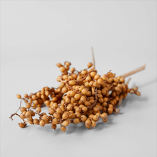 Load image into Gallery viewer, Dried Natural Canella