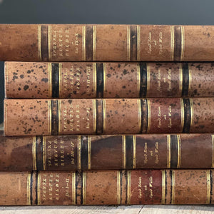 Antique Books Set