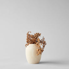 Load image into Gallery viewer, Dried Natural Canella