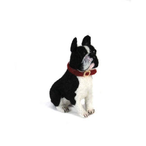 Rocco French Bull Dog