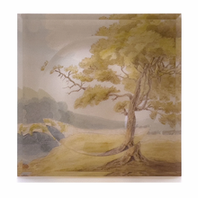 Load image into Gallery viewer, Acrylic Soap Trinket Dish in Landscape