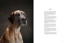 Load image into Gallery viewer, Year of the Dogs