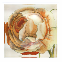 Load image into Gallery viewer, Acrylic Soap Trinket Dish in Hollar Orange Rose