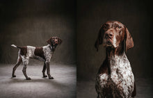 Load image into Gallery viewer, Year of the Dogs