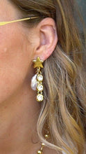 Load image into Gallery viewer, Ziggy Drop Earrings