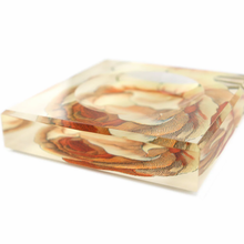 Load image into Gallery viewer, Acrylic Soap Trinket Dish in Hollar Orange Rose