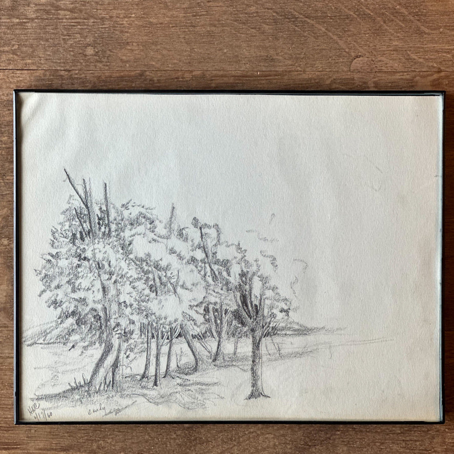 Vintage Tree Landscape Sketch