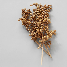 Load image into Gallery viewer, Dried Natural Canella