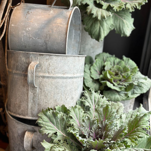 Vintage European Bucket