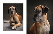 Load image into Gallery viewer, Year of the Dogs