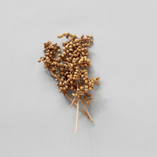 Load image into Gallery viewer, Dried Natural Canella