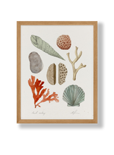 Load image into Gallery viewer, Beach Combing: 8.5 x 11