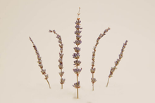 Load image into Gallery viewer, Lavender Cocktail Garnish