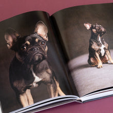 Load image into Gallery viewer, Year of the Dogs