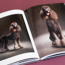 Load image into Gallery viewer, Year of the Dogs