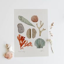 Load image into Gallery viewer, Beach Combing: 8.5 x 11
