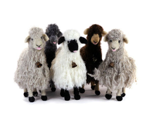 Bell Sheep: : Fawn
