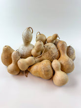 Load image into Gallery viewer, Naturally Dried Gourds