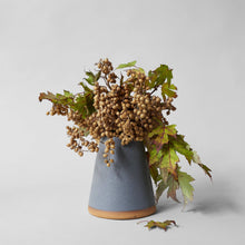 Load image into Gallery viewer, Dried Natural Canella