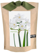 Load image into Gallery viewer, Garden in a Bag | Christmas Paperwhites